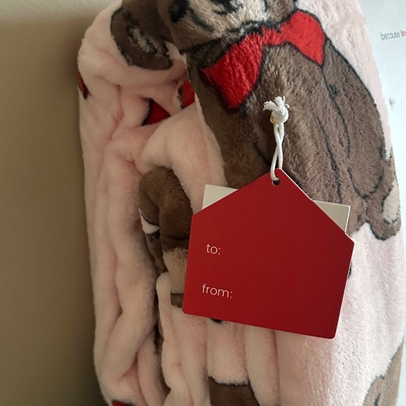 Cuddle in Love Valentine Teddy Bear 🧸 Blanket Queen Heart ♥️ NEW! - Picture 8 of 10